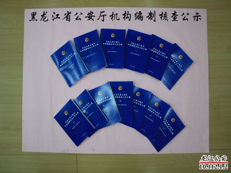 制定了《黑龙江省公安厅机构编制核查工作实施细则》;厅政治部人事